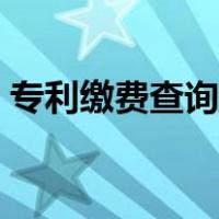 专利缴费查询平台网站（专利缴费查询平台）