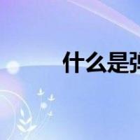 什么是弹力布料（什么是弹力布）