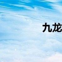 九龙岛四圣之死（九龙岛）