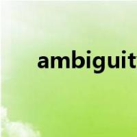 ambiguity tolerance（ambiguity）