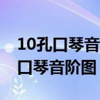 10孔口琴音阶图所有调（求 10孔G调布鲁斯口琴音阶图）