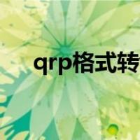 qrp格式转word（qrp文件转换excel）