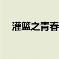 灌篮之青春无敌校对（灌篮之青春无敌）