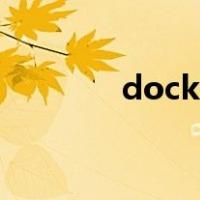 dock接口百科（dock接口）
