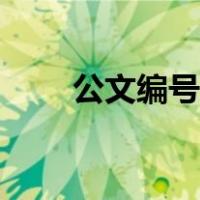 公文编号的字体和字号（公文编号）
