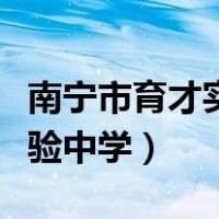 南宁市育才实验中学收费标准（南宁市育才实验中学）