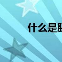 什么是胚胎宝宝图片（什么是胚）
