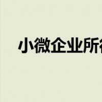 小微企业所得税年度纳税申报表填报表单