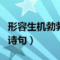 形容生机勃勃的诗句和名言（形容生机勃勃的诗句）