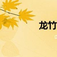 龙竹为什么不吉利（龙竹）