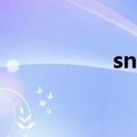 sn码怎么查询（sn码）