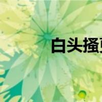 白头搔更短浑欲不胜簪什么意思
