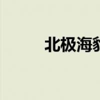 北极海豹吃什么食物（北极海豹）