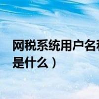 网税系统用户名和密码是什么意思（网税系统用户名和密码是什么）