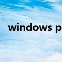 windows pe系统是什么（windows pe）