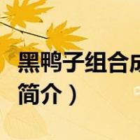黑鸭子组合成员简介徐秀霞（黑鸭子组合成员简介）