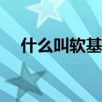 什么叫软基处理（软基处理有几种方法）