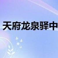 天府龙泉驿中央绿芯总体策划（天府龙泉驿）