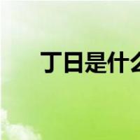 丁日是什么意思啊（丁日是什么意思）