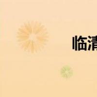 临清地图3d（临清地图）