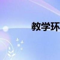 教学环节评价用语（教学环节）