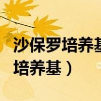 沙保罗培养基是培养真菌的鉴别培养基（鉴别培养基）