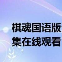 棋魂国语版全集在线观看15（棋魂国语版全集在线观看）