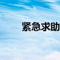 紧急求助电话图片（紧急求助电话）
