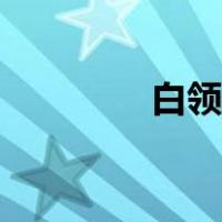 白领通申请条件（白领通）