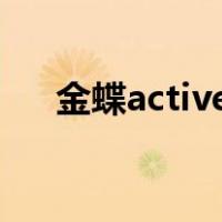 金蝶activex部件不能创建对象,代码70
