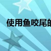 使用鱼咬尾的歌曲（鱼咬尾的歌曲怎么写）