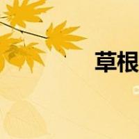 草根论坛报道（草根论坛）