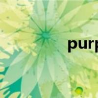 purple hearts（purple）