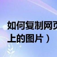 如何复制网页上的图片到电脑（如何复制网页上的图片）