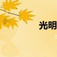 光明兽圣洁形态（光明兽）