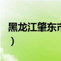 黑龙江肇东市属于哪个市（肇东市属于哪个市）