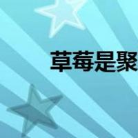 草莓是聚花果还是聚合果（聚合果）
