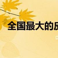 全国最大的皮革生产厂家（皮革生产厂家）