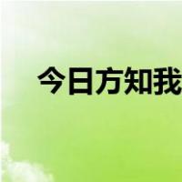 今日方知我是我歌曲（今日方知我是我）