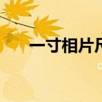 一寸相片尺寸多大（大一寸相片尺寸）