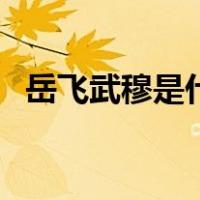 岳飞武穆是什么意思（岳飞为何叫岳武穆）