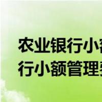 农业银行小额管理费收费标准2022（农业银行小额管理费）