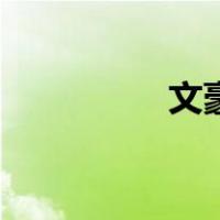 文豪野犬第三季（文豪）