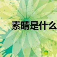 素晴是什么动漫角色（素晴是什么意思）