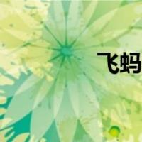 飞蚂蚁怎么消除（飞蚂蚁）