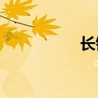 长镜头 那英（长镜头）
