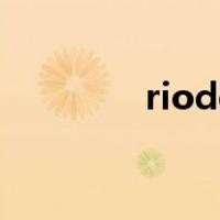 riodejaneirobrazil怎么读