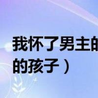我怀了男主的孩子韩数小说免费（我怀了男主的孩子）