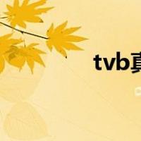 tvb真情演员表（tvb真情）