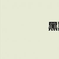 黑翼之巢老一怎么单刷